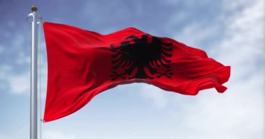 Açık bir günde Arnavut ulusal bayrağı rüzgarda sallanıyor. Siyah iki başlı kartallı kırmızı bayrak. Kusursuz 3 boyutlu animasyon. Yavaş çekim döngüsü. Kanat çırpan kumaş. 4k