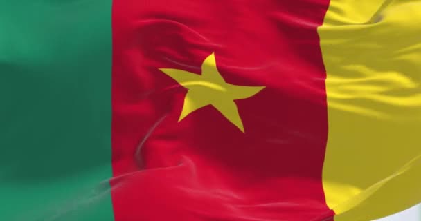 Крупним Планом Махає Прапор Камеруну Три Вертикальні Смуги Зеленої Червоної — стокове відео