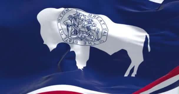 Крупный План Флага Штата Вайоминг Размахивающего Ветром Силуэт Белого Бизона — стоковое видео