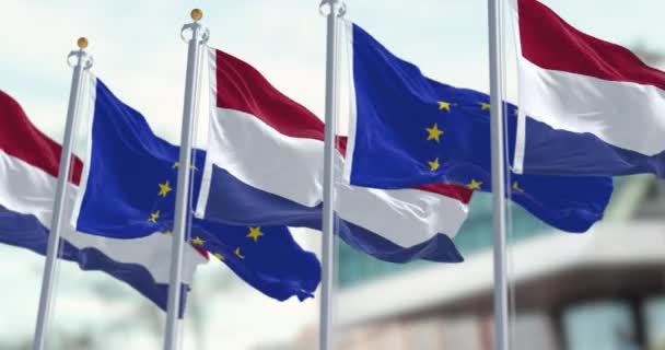 オランダの旗と欧州連合の旗 オランダは1958年にEuに加盟した シームレス3Dレンダリングアニメーション スローモーションループ 選択的な焦点 フラッターファブリック 4Kについて — ストック動画