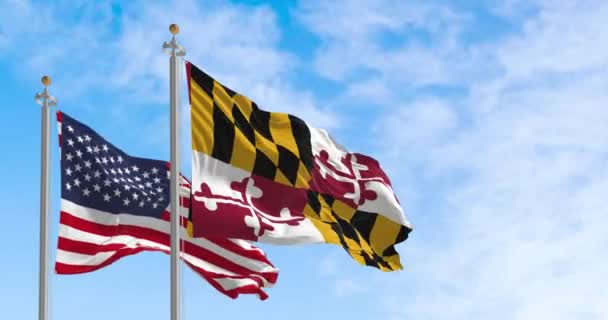 Прапори Меріленду Сполучених Штатів Махали Вітром Ясний День Патріотичний Символічний — стокове відео