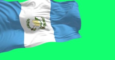 Guatemala ulusal bayrağı yeşil arka planda dalgalanıyor. Gökyüzü mavi, beyaz ve Ulusal Amblem üçlüsü ortada. Kusursuz 3D canlandırma animasyonu. Yeşil ekran. Krom anahtar. Yavaş çekim döngüsü. 4K
