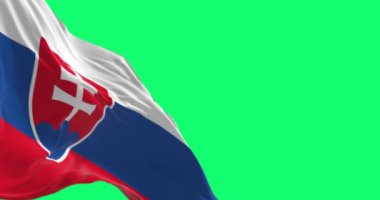 Yeşil arka planda sallanan ulusal Slovakya bayrağı. Beyaz, mavi, kırmızı çizgiler. Kollar yukarı kaldırılsın. Kusursuz 3D canlandırma animasyonu. Yeşil ekran. Krom anahtar. Yavaş çekim döngüsü. 4 bin. Seçici odak