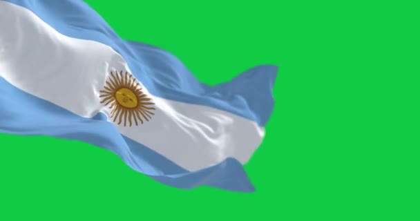 Argentiniens Nationalflagge Weht Vereinzelt Auf Grünem Hintergrund Nahtlose Renderanimation Grüner — Stockvideo