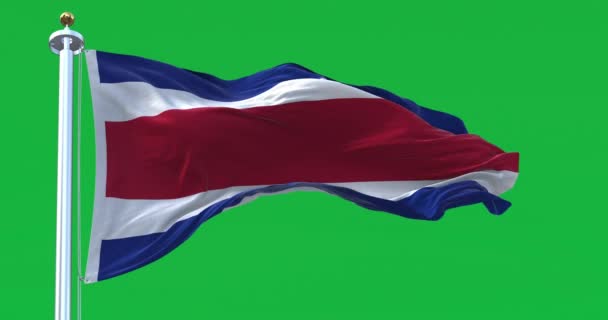 Costa Ricas Nationalflagge Weht Vereinzelt Auf Grünem Hintergrund Blaue Weiße — Stockvideo