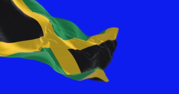 Jamaica Nationale Vlag Zwaaien Geïsoleerd Een Blauwe Achtergrond Naadloze Weergave — Stockvideo