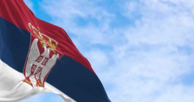 Açık bir günde rüzgarda dalgalanan Sırbistan ulusu bayrağı. Asansörde kırmızı, mavi ve beyaz çizgili armalar var. Kusursuz 3 boyutlu animasyon. Yavaş çekim döngüsü. Seçici odaklanma. 4k