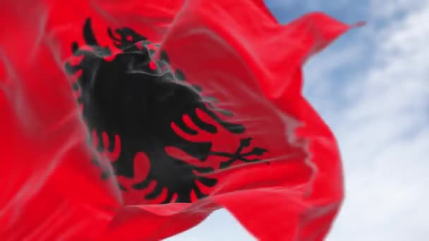 Албанский Национальный Флаг Размахивающий Ветром Ясный День Красный Флаг Чёрным — стоковое видео