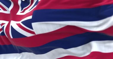 Hawaii eyalet bayrağının rüzgarda dalgalanan yakın çekimi. Sekiz yatay çizgi beyaz, kırmızı, mavi, Union Jack kantonda. Kusursuz 3 boyutlu animasyon. Yavaş çekim döngüsü. Seçici odaklanma. 4k