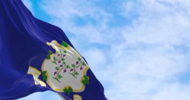 Connecticut eyalet bayrağı açık havada dalgalanıyor. Mavi arka planda beyaz kalkan. Her biri üzüm demeti taşıyan üç üzüm var. Kusursuz 3 boyutlu animasyon. Yavaş çekim döngüsü. 4k
