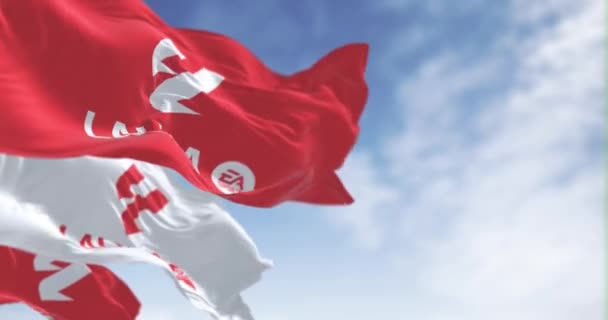 Madryt Spa Lipca 2023 Trzy Flagi Ligi Machające Pogodny Dzień — Wideo stockowe