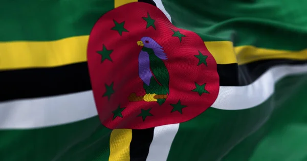 Крупный План Размахивания Флагом Доминики Зеленое Поле Крест Жёлтого Чёрного — стоковое фото