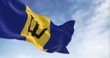 Barbados ulusal bayrağı açık bir günde rüzgarda sallanıyor. Ortasında siyah bir Triton olan mavi ve sarı bir bayrak. Kusursuz 3 boyutlu animasyon. Yavaş çekim döngüsü. Seçici odaklanma. 4k