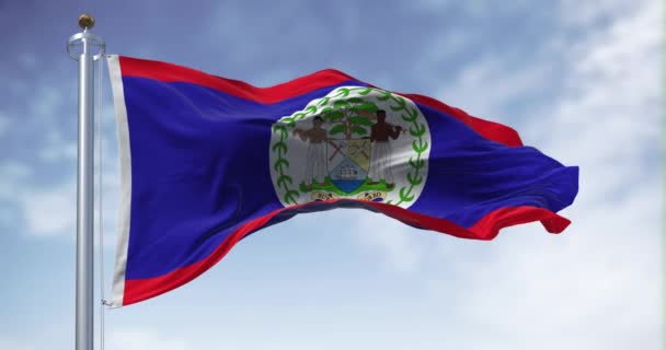 Bandeira Nacional Belize Acenando Vento Dia Claro Campo Azul Listras — Vídeo de Stock