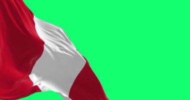 Rüzgarda dalgalanan Peru ulusal bayrağı yeşil ekranda izole edildi. Kusursuz 3D canlandırma animasyonu. Yeşil ekran. Krom anahtar. Yavaş çekim döngüsü. 4 bin. Seçici odak