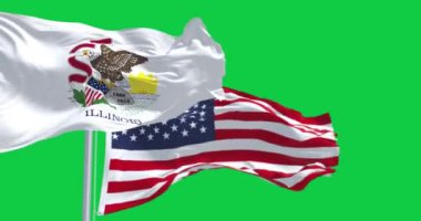 Illinois eyalet bayrağı yeşil ekranda Amerika Birleşik Devletleri bayrağıyla birlikte dalgalanıyor. Kusursuz 3D canlandırma animasyonu. Yeşil ekran. Krom anahtar. Yavaş çekim döngüsü. 4 bin. Seçici odak