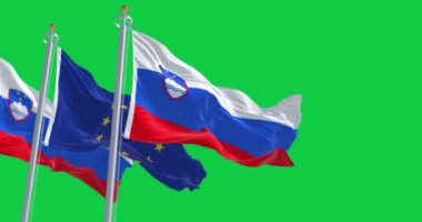 Slovenya ve Avrupa Birliği bayrakları yeşil bir arkaplanda izole halde sallanıyor. Kusursuz 3D canlandırma animasyonu. Yeşil ekran. Krom anahtar. Yavaş çekim döngüsü. 4 bin. Seçici odak