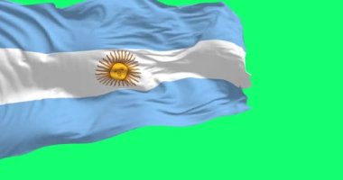 Arjantin bayrağı yeşil ekranda dalgalanıyor. Üç mavi ve beyaz şerit, ortada Mayıs Güneşi. Kusursuz 3D canlandırma animasyonu. Yeşil ekran. Krom anahtar. Yavaş çekim döngüsü. 4K