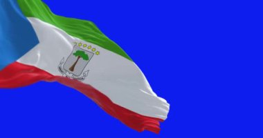 Ekvator Ginesi bayrağının mavi ekranda dalgalanması. Yeşil, beyaz ve kırmızı çizgiler ve kaldırmada mavi üçgen. Kusursuz 3D canlandırma animasyonu. Krom anahtar. Alfa kanalı. Yavaş çekim döngüsü. 4K