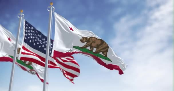 加利福尼亚州的国旗与美国国旗摇曳在一起 带有阿尔法通道 无缝3D渲染动画 阿尔法频道慢动作回圈4K — 图库视频影像
