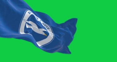 Brighton, İngiltere, İngiltere 13 Mayıs 2023: Brighton ve Hove Albion Futbol Kulübü bayrağı yeşil ekranda sallanıyor. Kusursuz 3D canlandırma animasyonu. Krom anahtar. Yavaş çekim döngüsü. 4 bin. Seçici odak