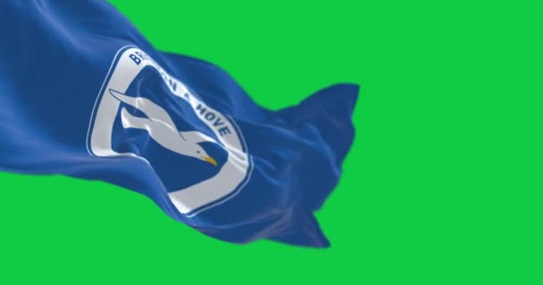 英国布莱顿 2023年5月13日 布莱顿和霍夫阿尔比翁足球俱乐部的旗帜在绿色屏幕上飘扬 无缝3D渲染动画 慢动作回圈4K 有选择的重点 — 图库视频影像