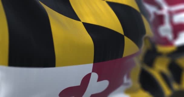 Närbild Maryland Statens Flagga Viftar Fyra Kvadranter Med Färgerna Hos — Stockvideo