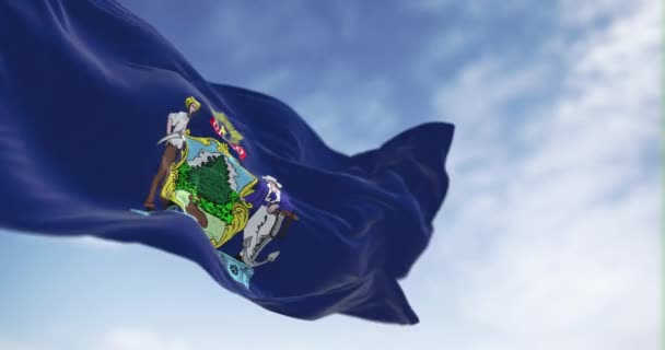 Flaga Stanu Maine Macha Pogodny Dzień Herb Niebieskim Polu Łosią — Wideo stockowe