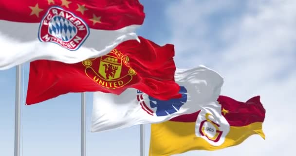 摩纳哥 2023年8月31日 2023 24年欧洲杯A组球队的旗帜在风中飘扬 无缝3D渲染动画 慢动作回圈有选择的重点 — 图库视频影像