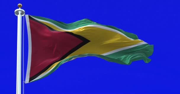Guyana National Flag Waving Wind Isolated Blue Background Northern Mainland — Stock Video