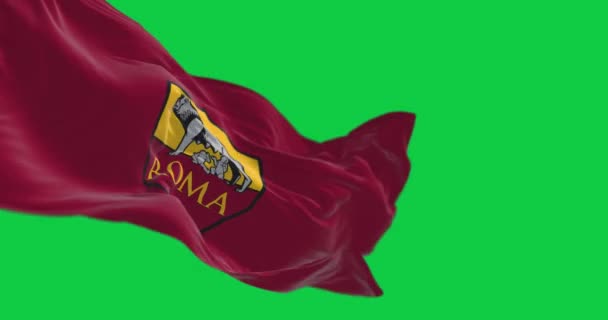 Roma Italia Julio 2023 Bandera Romaní Ondeando Aislada Sobre Fondo — Vídeos de Stock