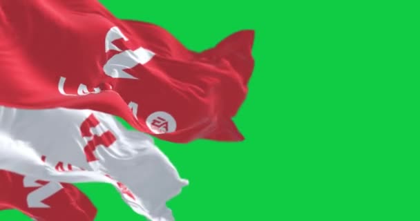 马德里 Spa 2023年7月10日 三面拉里加旗帜在绿色背景下飘扬 无缝3D渲染动画 绿色屏幕 慢动作回圈4K — 图库视频影像