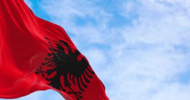 Açık bir günde Arnavut ulusal bayrağı rüzgarda sallanıyor. Siyah iki başlı kartallı kırmızı bayrak. Kusursuz 3 boyutlu animasyon. Yavaş çekim döngüsü. Seçici odaklanma. 4k