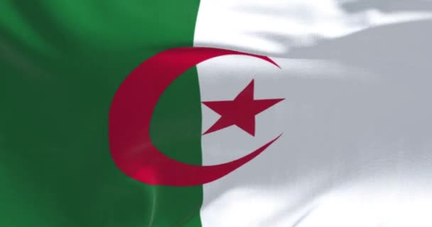Primer Plano Bandera Nacional Argelia Ondeando Día Despejado Dos Barras — Vídeo de stock