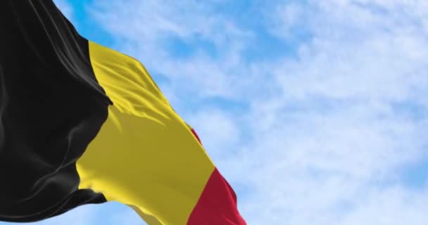 Крупный План Государственного Флага Бельгии Машущего Ясный День Три Равные — стоковое видео