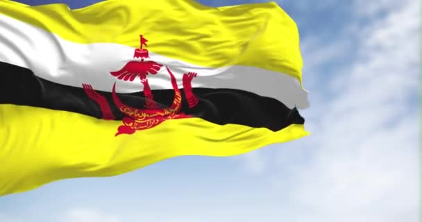 Primer Plano Bandera Nacional Bélgica Ondeando Día Despejado Tres Bandas — Vídeos de Stock