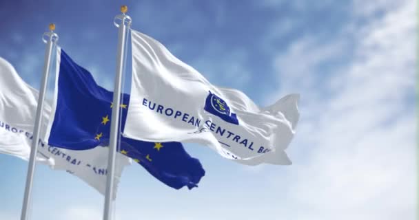 Frankfurt Março 2023 Bandeiras Banco Central Europeu União Europeia Acenando — Vídeo de Stock