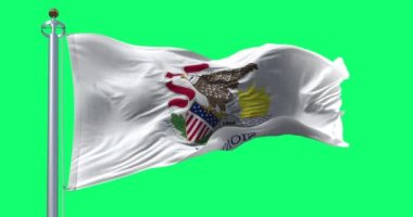 Illinois eyaleti bayrağı yeşil arka planda izole edilmiş şekilde dalgalanıyor. Altında eyalet mührü olan beyaz bayrak, Illinois. Kusursuz 3D canlandırma animasyonu. Krom anahtar. Alfa kanalı. Yavaş çekim döngüsü. 4K