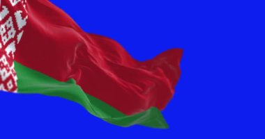 Beyaz Rusya 'nın ulusal bayrağı rüzgarda sallanıyor. Beyaz ve kırmızı süslemeli kırmızı ve kırmızı bayrak. Kusursuz 3D canlandırma animasyonu. Mavi ekran. Krom anahtar. Yavaş çekim döngüsü. 4K