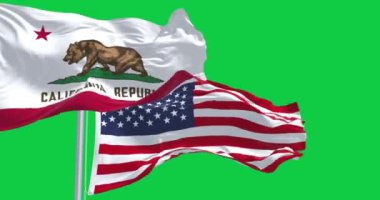Kaliforniya Cumhuriyeti ve Amerika Birleşik Devletleri bayrakları yeşil arka planda izole halde sallanıyor. Kusursuz 3D canlandırma animasyonu. Yeşil ekran. Krom anahtar. Yavaş çekim döngüsü. 4K