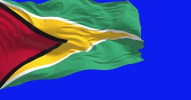 Guyana ulusal bayrağı mavi arka planda yalıtılmış bir şekilde rüzgarda dalgalanıyor. Güney Amerika ülkesi. Kusursuz 3D canlandırma animasyonu. Mavi ekran. Krom anahtar. Yavaş çekim döngüsü. 4K