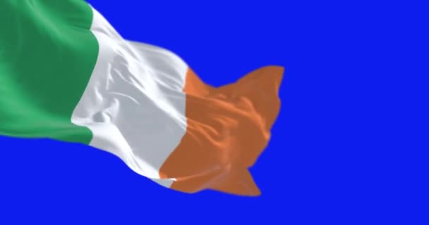 Bandera Nacional Irlanda Ondeando Viento Aislada Sobre Fondo Azul Tricolor — Vídeo de stock