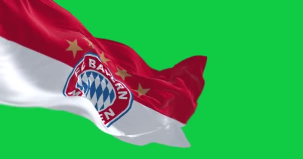 München Juni 2023 Bayern München Vlag Zwaaien Geïsoleerd Een Groene — Stockvideo