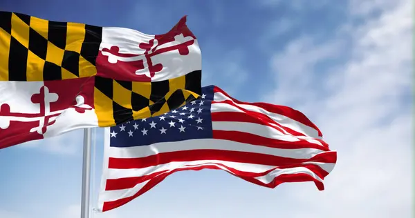 Maryland state flag waving in the wind with the american national flag on a clear day. 3d illustration render. Rippled fabric