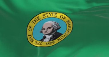 Washington eyaletinin rüzgarda dalgalanan bayrağının yakın çekimi. Üzerinde bir mühür olan koyu yeşil alan ortada George Washington 'ın resmini gösteriyor. Kusursuz 3 boyutlu animasyon. Yavaş çekim döngüsü. 4k
