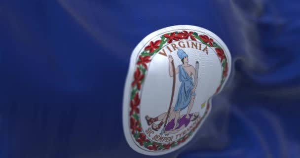 Närbild Virginia State Flagga Viftar Vinden Statssigill Mitt Mörkblå Bakgrund — Stockvideo