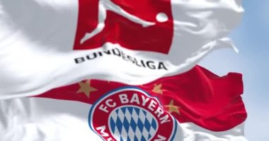 Münih, DE, 10 Eylül 2023: Bayern Münih bayrağı açık bir günde Bundesliga bayrağıyla dalgalanıyor. Profesyonel Alman futbol kulübü. Kusursuz 3 boyutlu animasyon. Yavaş çekim döngüsü. Seçici odaklanma. 4k