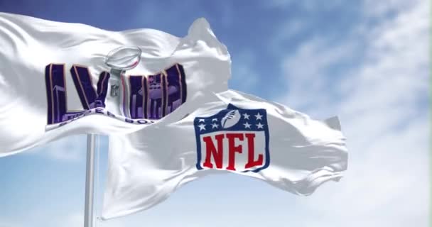 Paradise Eua Junho 2023 58Th Super Bowl Bandeiras Nfl Acenando — Vídeo de Stock