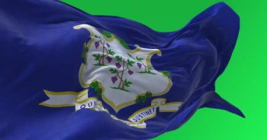 Connecticut eyaleti bayrağı yeşil arka planda dalgalanıyor. Kusursuz 3D canlandırma animasyonu. Yeşil ekran. Krom anahtar. Yavaş çekim döngüsü. 4K.