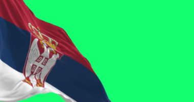 Rüzgarda dalgalanan Sırbistan ulusal bayrağı yeşil arka planda izole edildi. Kusursuz 3D canlandırma animasyonu. Yeşil ekran. Krom anahtar. Yavaş çekim döngüsü. 4 bin. Seçici odak